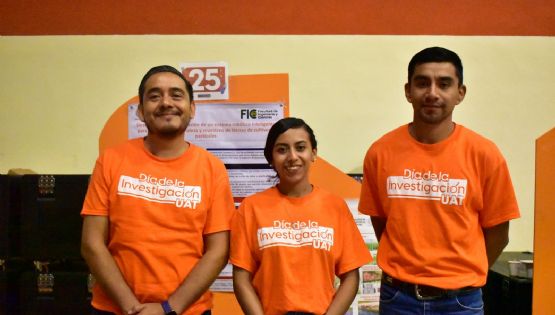 Produce la UAT forraje hidropónico del sorgo y maíz