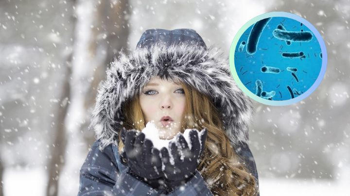 ¿Se puede comer la nieve que cae del cielo?; los riesgos ocultos que debes conocer