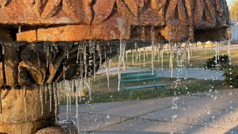 Fuentes congeladas en diversos puntos de la ciudad.