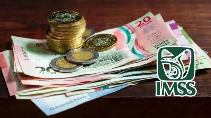 Pensión IMSS de febrero 2026: conoce cómo y cuándo se entregará