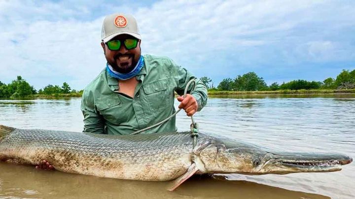Este es el 'monstruo' fósil de 80 afilados dientes que habita en el río Bravo; es un trofeo para los pescadores