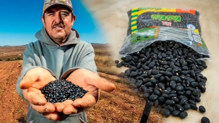 Agricultura y Verde Valle acuerdan comercialización justa del frijol; productores recibirán precios justos