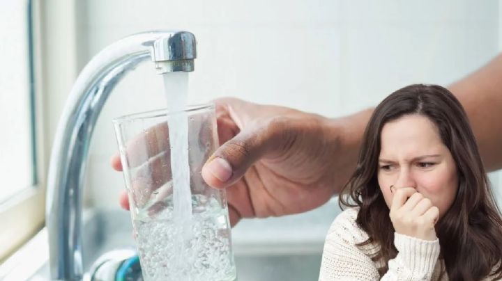 El truco casero más fácil para quitar el mal olor de tus vasos de cristal