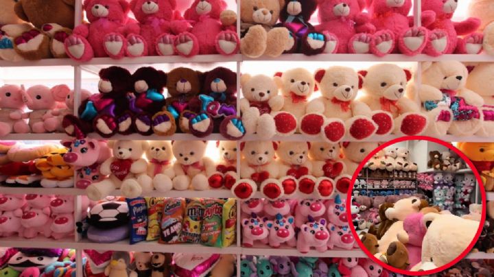 San Valentín 2026: en este pueblito encontrarás hermosos peluches por menos de 100 pesos