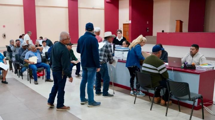 Personas que pagaron el predial a tiempo recibirán un seguro; así pueden adquirirlo