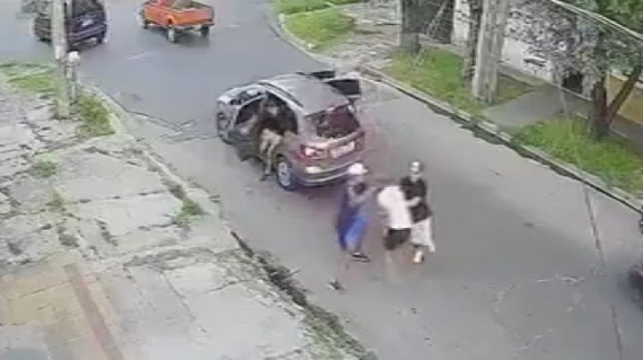 Hombre es golpeado salvajemente por delincuentes; así salió el perro del vecino a defenderlo | VIDEO