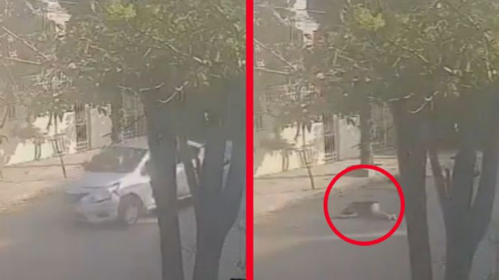 MOMENTO EXACTO en que mujer es arrojada de un auto en movimiento; la dejaron a su suerte | VIDEO