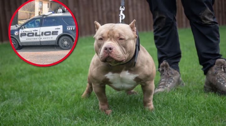 Policía abate a pitbull tras ataque a oficial en Laredo