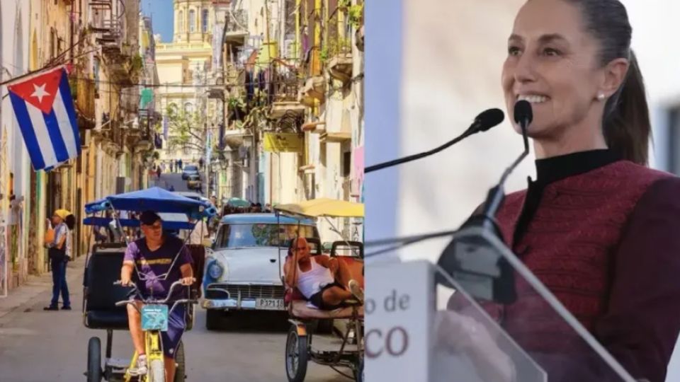 El apoyo no se limita a alimentos, sino también a otros insumos esenciales