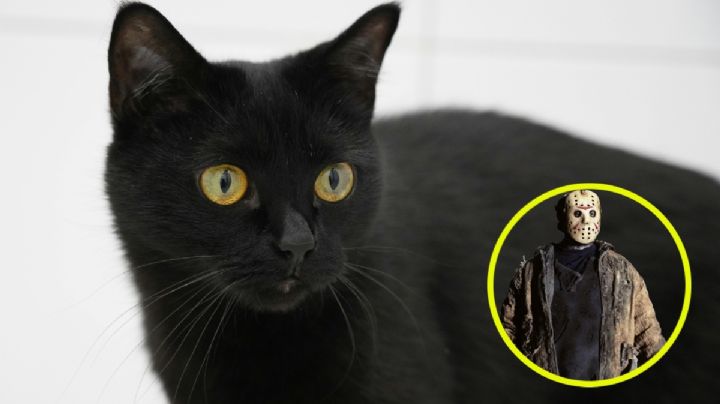 Viernes 13: ¿por qué se cree que esta fecha es de mala suerte?; este sería el origen de la creencia