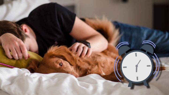 ¿Cuánto debe durar la siesta o 'power nap' para que sea reparadora?; Universidad de Harvard responde