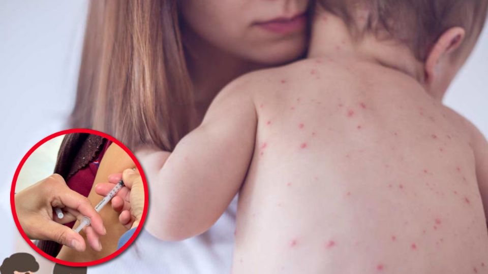 Confirmar la protección es fundamental, y el primer paso suele ser revisar la cartilla de vacunación