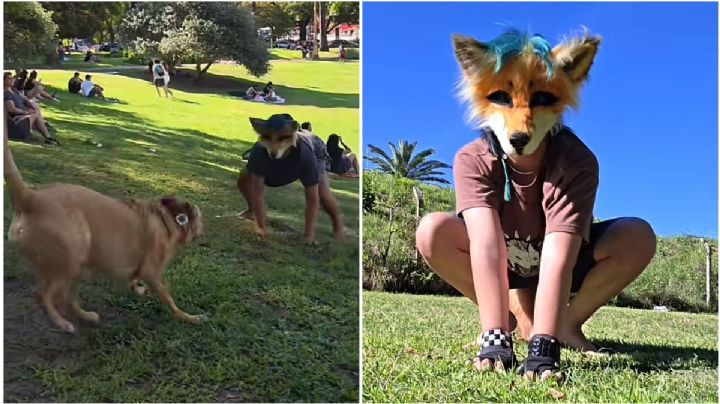 ¿Qué son los Therians y por qué son tan virales en redes sociales?