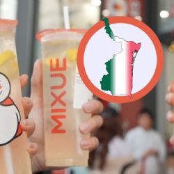 ¿Habrá sucursales de Mixue en Tamaulipas, la franquicia que pone a temblar a Starbucks y McDonald’s?