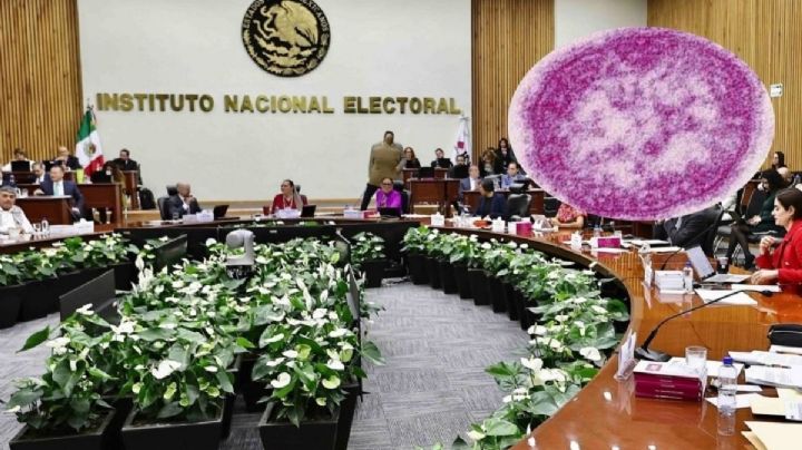 Caso de Sarampión en el INE: ¿Qué está pasando y quiénes deben vacunarse?