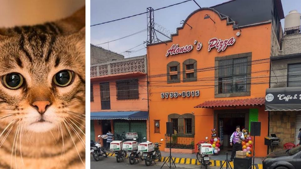 El acto de tortura quedó captado en video