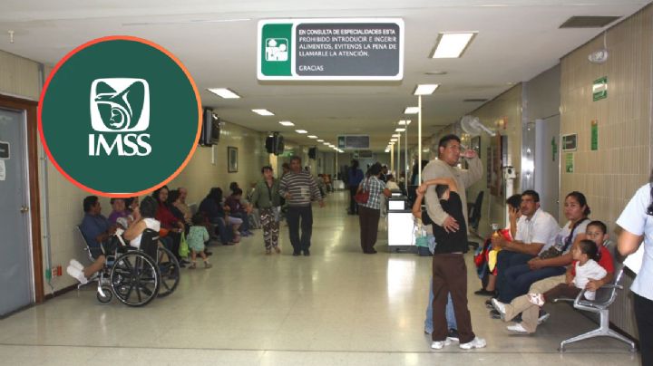 ¿No tienes empleo formal?; así puedes cotizar en el IMSS de manera independiente