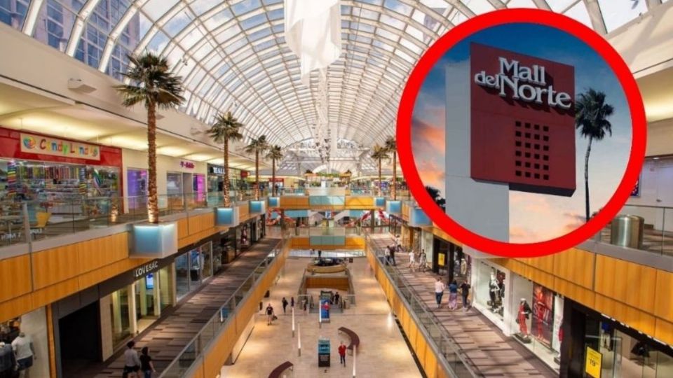 La presunta ladrona asaltó un comercio en el Mall del Norte.