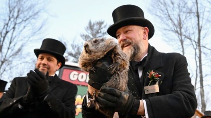 ¿Se va el invierno o se queda? La marmota Punxsutawney Phil ya dio su mensaje