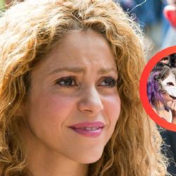 Mujer Therian asegura que Shakira cambió su percepción de sí misma y la 'convirtió' en un animal | VIDEO