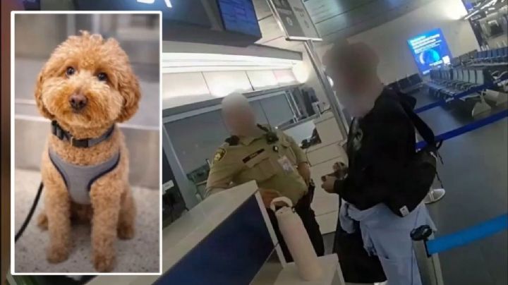 Mujer abandona a su perro en aeropuerto; no imaginó lo que pasaría después | VIDEO