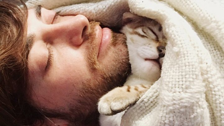 ¿Es malo dormir con tu gato?: esto dicen los expertos sobre los riesgos para la salud