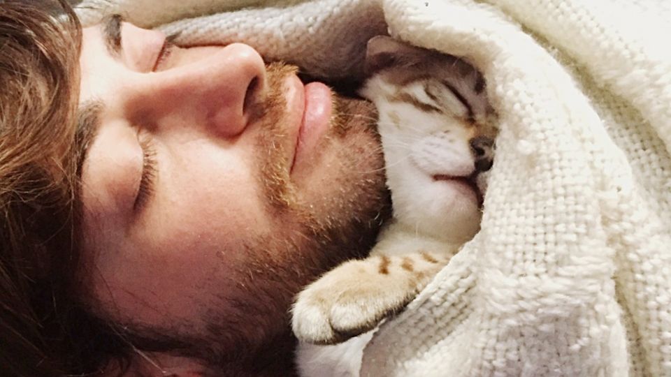 ¿Duermes con tu gato todas las noches?