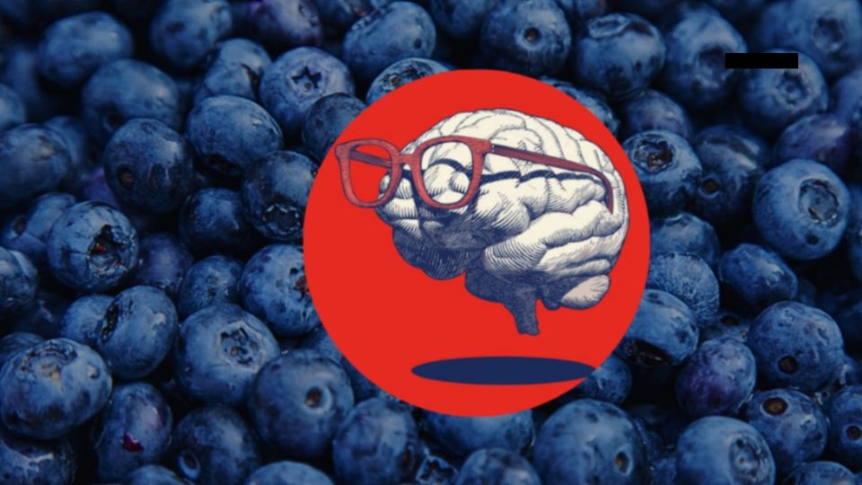 Su principal valor radica en su alta concentración de antioxidantes y compuestos bioactivos