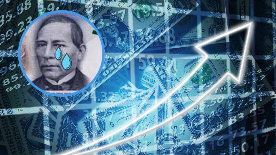 Así está el tipo de cambio en el último viernes de febrero