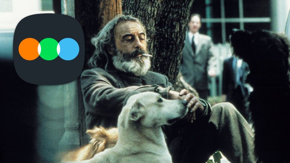 'Amores perros', dentro de las mejores 500 películas de la historia