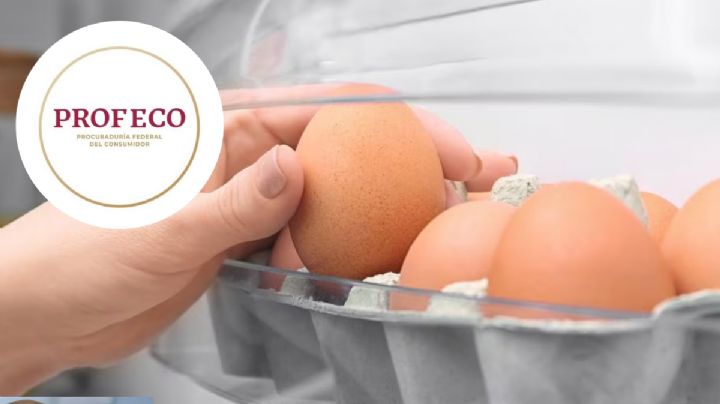 Profeco desmiente el mito si debes o no lavar los huevos antes de consumirlos; pondrías en riesgo tu salud