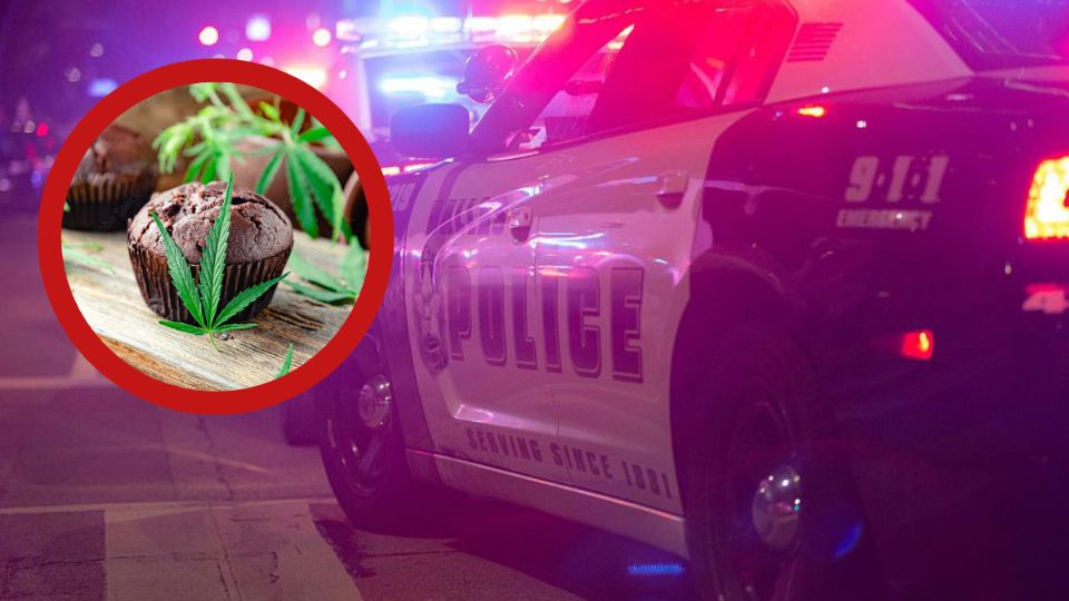 La bebé comió el panellico con sustancias ilegales.