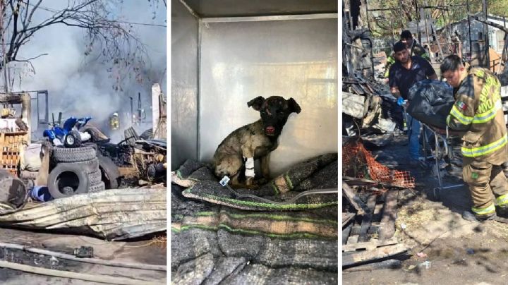 Crónica de una tragedia: incendio en dos casas en la Viveros deja a un abuelito calcinado y a un perrito grave