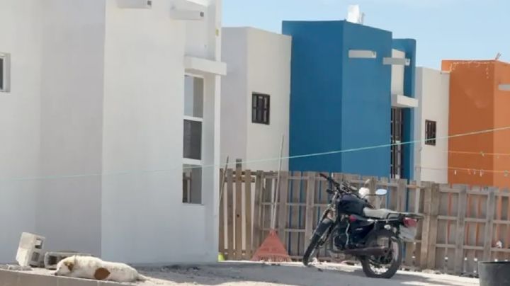 Horror en Reynosa: niña muere y sus hermanos luchan por su vida tras brutal ataque de su propio padre