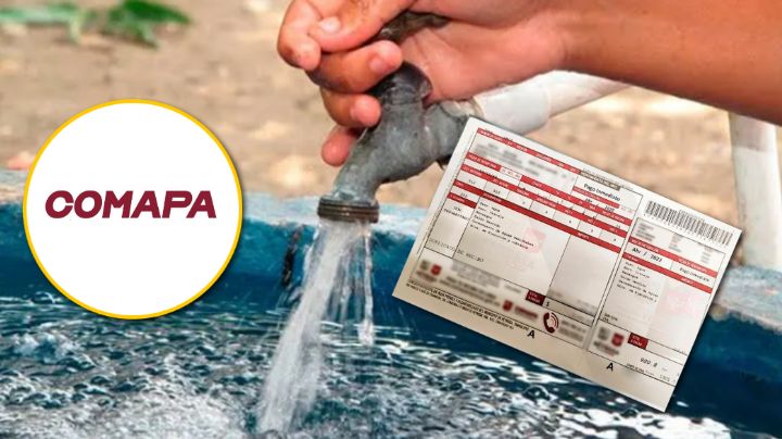 Las 6 tiendas oficiales donde puedes pagar tu recibo de Comapa en febrero