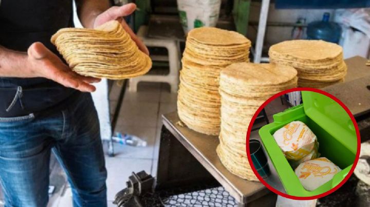 ¿Te pueden multar por vender tortillas en hieleras?; Profeco responde y aclara polémica en Tamaulipas