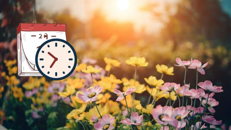 Descubre cuándo llegará este fenómeno y qué representa. Foto: Pexels