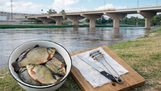 ¿Pescado tóxico en tu mesa?; ¿es seguro comer de lo que se pesca en el Río Bravo?