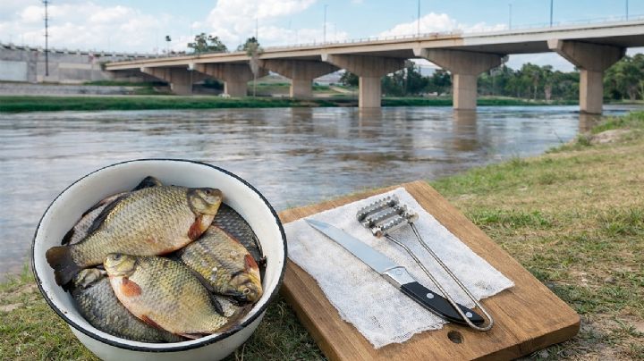 ¿Pescado tóxico en tu mesa?; ¿es seguro comer de lo que se pesca en el Río Bravo?