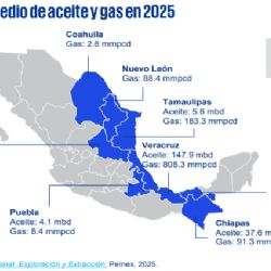 Tamaulipas, en el mapa del oro negro