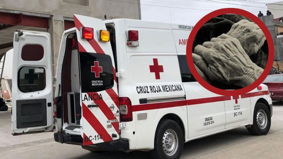 Abuelito le llevaba de comer a su esposa pero no alcanzó a llegar; así fue la tragedia