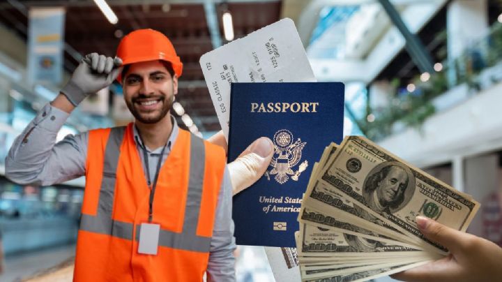 ¿Quieres ganar varios dólares por hora?; EU abre vacantes agrícolas con Visa H-2A