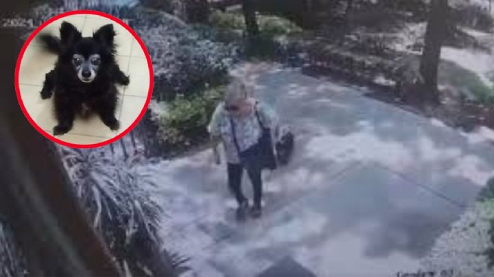 Asesinó a 'Moni' a golpes pero no irá a la cárcel; las condiciones que pactó la 'abuela mataperros' para quedar libre