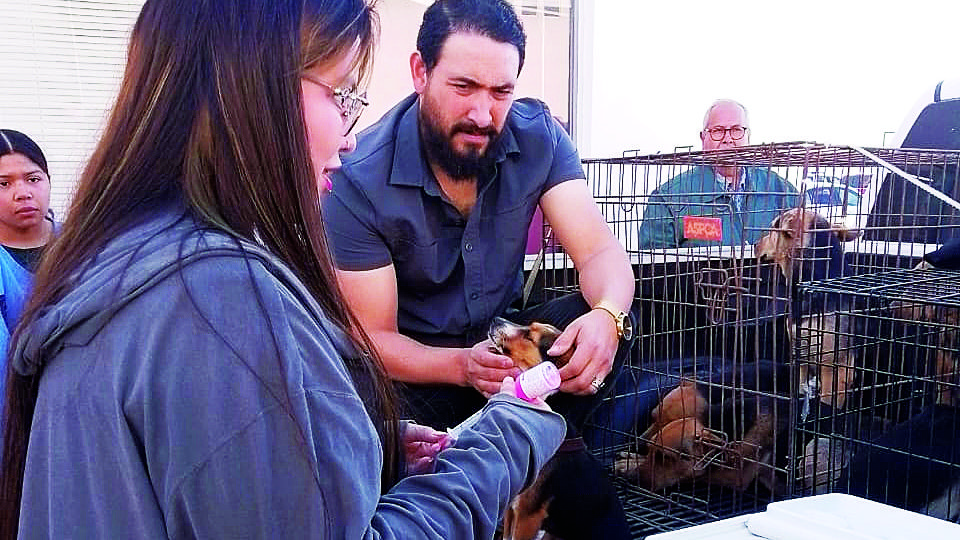 Capacitan a 22 estudiantes de veterinaria para jornada de vacunación antirrábica.