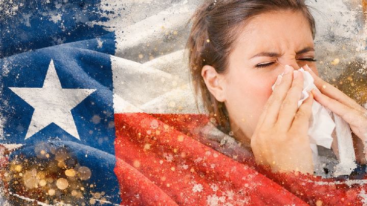 ¿Qué está provocando el aumento desmedido de alergias en Texas y cuánto durará?