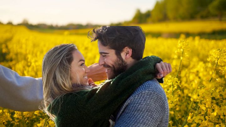 Las flores amarillas más bonitas que puedes conseguir en México para regalar este 21 de marzo