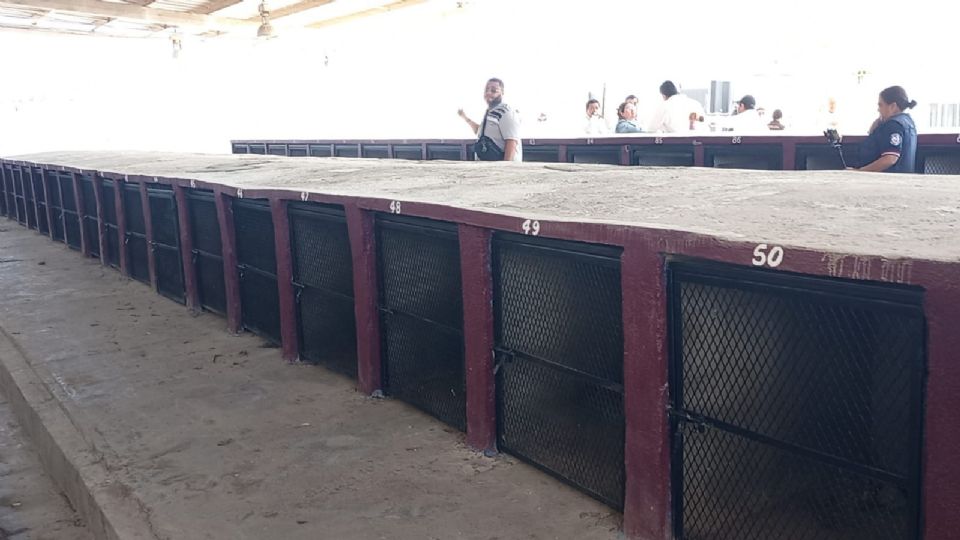 Irma Gladys Cano Ramírez destacó que la reapertura representa un avance importante en materia de salud pública.