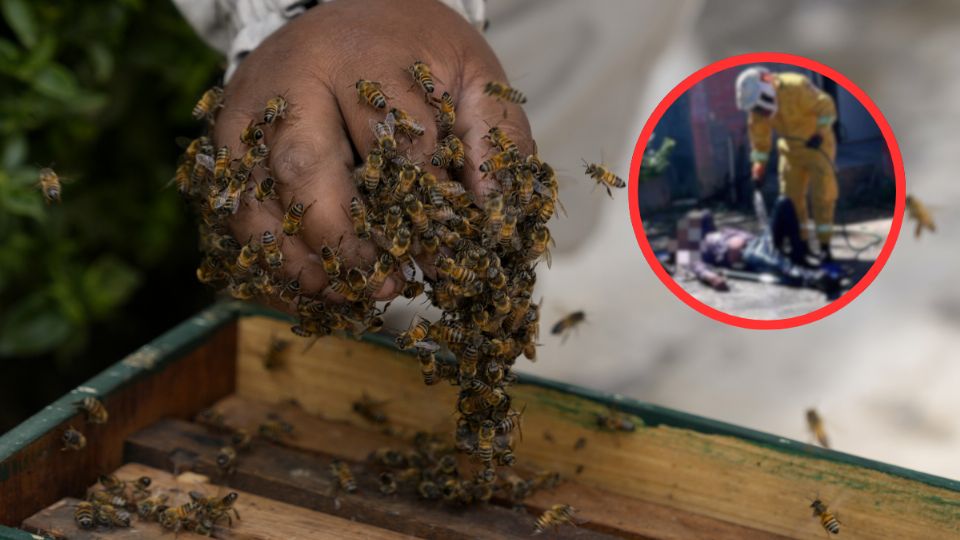 El ataque ocurrió mientras la víctima realizaba labores en una huerta.