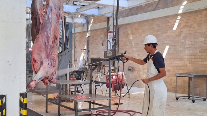Consumo de carne repuntará tras la Cuaresma; sacrificio de ganado podría aumentar 20% en Nuevo Laredo
