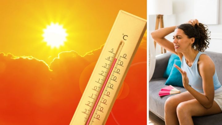 Canícula 2026: ¿Tamaulipas está en la lista de los estados que registrará más calor?